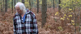 Svampsäsong – hög tid att dra åt skogen