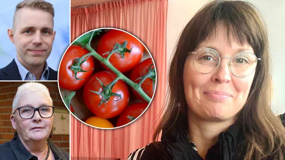 Röda tomater - eller gröna? Politisk strid om den kommunala odlingen i Björsbyn. Malin Svedjeholm (MP) vill se en större satsning, medan Anja Johansson (S) är mer osäker. "När jag hörde om detta första gången trodde jag det var ett skämt. Socialistiska tomater i Luleå", menar Thomas Söderström (L).  
