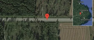Fallna träd skapar problem i trafiken på väg 263