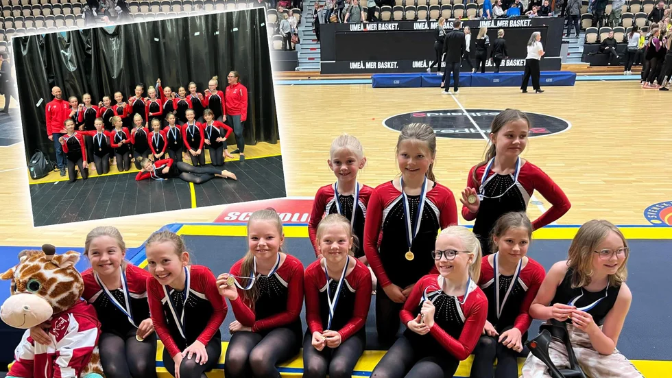 Gruppen Juvel vann guld och Safir (uppe till vänster) knep ett brons i Umeå. 