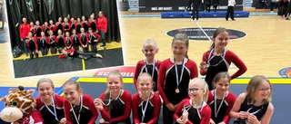 Guld och brons i truppgymnastik till Bergsbyns SK