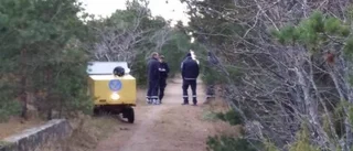 Posttjuven erkänner mopedstölden