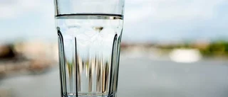 Nattskutan summerar sommaren