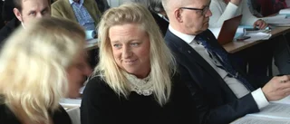 Mitt första Ö-fullmäktige