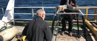 SGU kartlägger bottnar i övergödda Östersjön