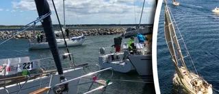 Fler har brutit kappseglingen Offshore Race