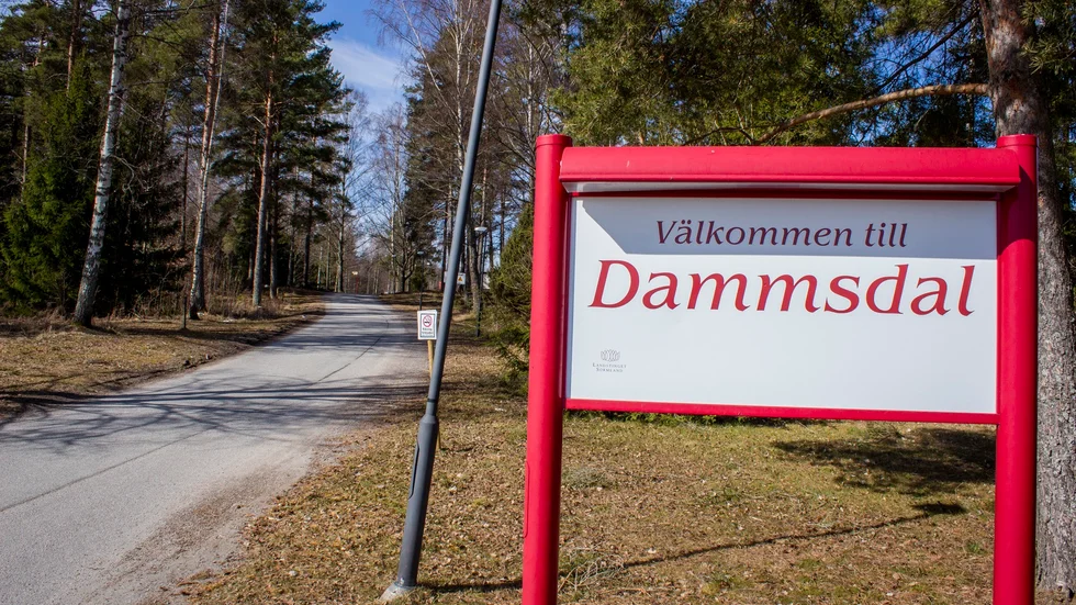 Dammsdal är en skola med riksintag i Vingåker för barn och ungdomar inom autismspektrat. 