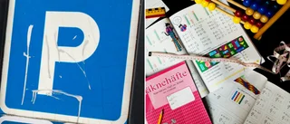 Arg bilist klagar på regionens mattekunskaper • ”Tror ni att det finns nån plats till oss på sommaren?”