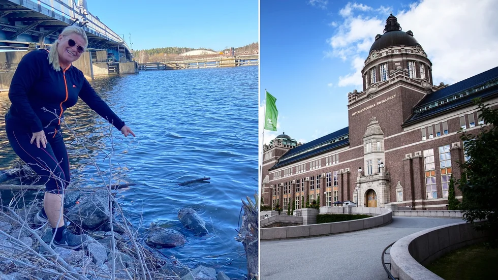 Uttern som bland andra Helena Hjelm upptäckte vid Tosteröbron har anlönt till Naturhistoriska riksmuseet där en konservator nu är tämligen övertygad om att djuret råkat ut för drunkningsolycka.