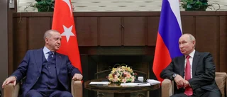 Vad ska Sverige betala till Erdoğan?