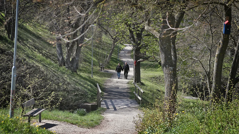 Det var här i Palissaderna i Visby som den åtalade mannen ska ha rånat och slagit en för honom okänd kvinna.