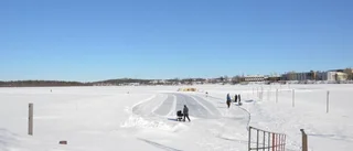 Dagens Luleåbild: Promenad i solsken