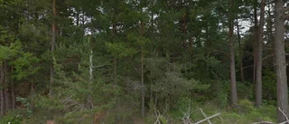 38 kvadratmeter stor stuga i Boge såld till nya ägare
