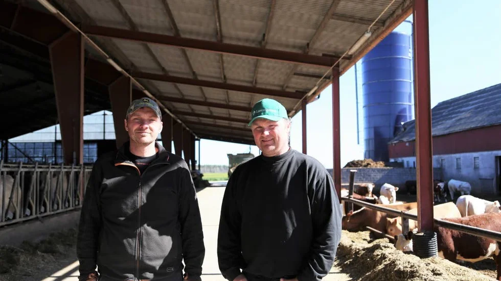 Lars och Olof Farinder driver nötköttsproduktion, växtodling och entreprenadkörning tillsammans i S&V Lantbruk.