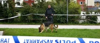 Vapnet kan fälla gärningsmännen