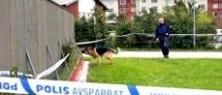 Tre åtalade för mordförsöket