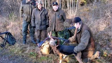 Jaktledare Malte Engström är lika stolt som de tre kvinnliga jägarna som fällde en hare vid Gillets speciella damjakt i söndags. Laila Modin och Siv Rydenheim betraktar Anki Blomqvist som sitter med hamiltontiken Vilma och den nyskjutna julharen.                                                           foto: privat