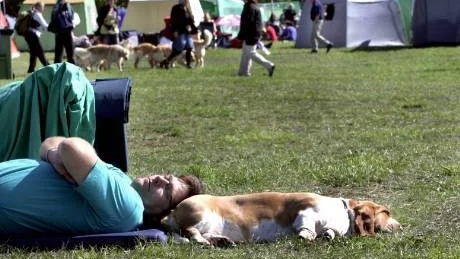 utställd och utslagen Både   hundar och människor blev trötta av tävlandet. Här vilar Ralph Knappmann från Stockholm och Winnie, en basset hound, i väntan på gruppfinalen.