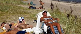 Fler hittade till Gotland