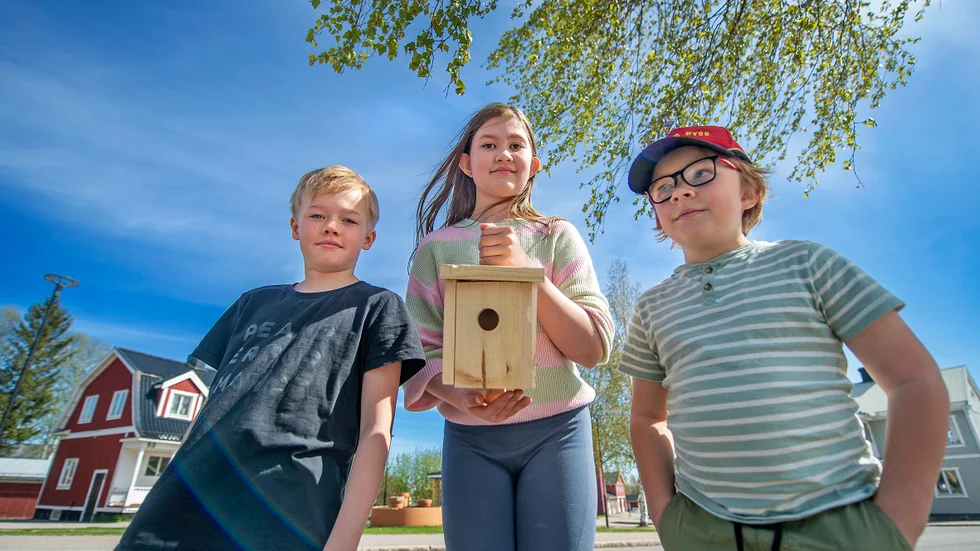 Tre av de tredjeklassare som snickrat ihop fågelholkar och sålt till förmån till Ukraina är 10-åriga Albin Johansson, Emelie Nilsson, 9 år och Ruben Nygård, 8 år.