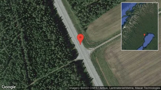 Renar på vägen på E4