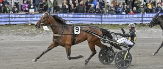 Eriksson väljer halvmiljonersloppet till Devils Tongue
