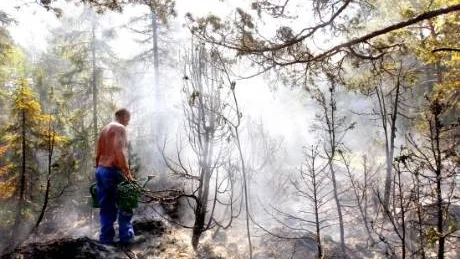 tuff terräng. Räddningstjänstens utryckningsfordon tar sig inte fram i den snåriga skogen. Personal från Skogstyrelsen hjälper till i släckningsarbetet genom att med kannor hälla vatten på marken. En av dem är Perra Wintland.