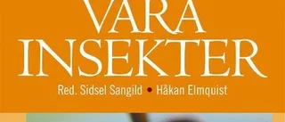 Bland stenar och småkryp