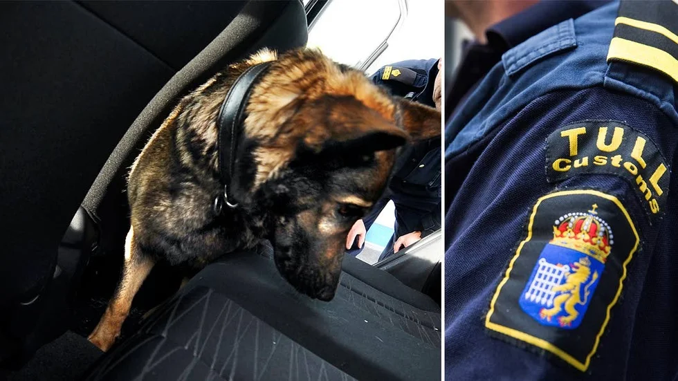 Känslig nos. Tack vare en hund vid tullen kunde polisen gripa en man, misstänkt för narkotikabrott.