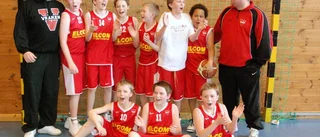 "Jag skulle helst vilja kunna leva på basketen"