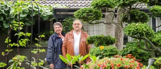 Petterssons trädgård – något utöver det vanliga