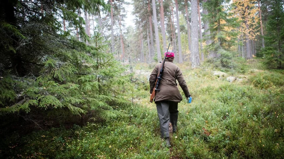 Signaturen UÖ vill se en rejäl sänkning av älgtilldelningen till nästa år.