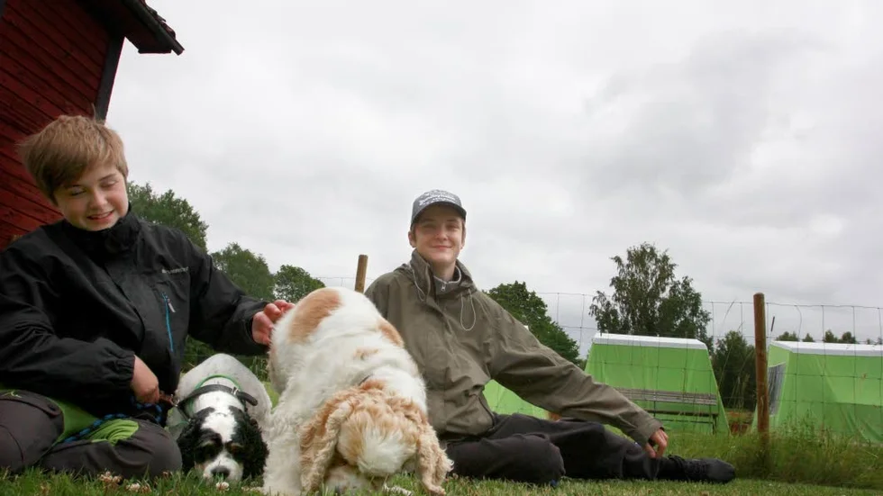 Lexi och Astra fortsatte leta godis även mellan övningarna. De deltog i tvådagarskursen tillsammans med hussarna Matteus och Christian Lindqvist.