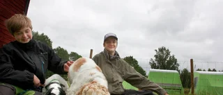 Agility och godissök på brukshundklubben