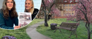 Elever fick tycka till om Katrineholms framtid: ✓Tunnelbana ✓Stadsnära odlingar ✓Fler parker ✓Gratis kollektivtrafik