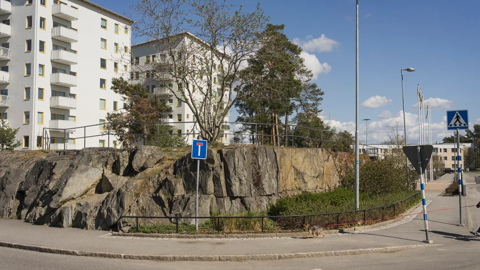 Den omstridda bergsknallen i Valsta centrum.
