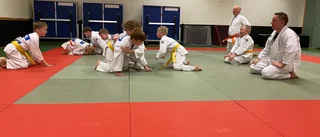 Åtvidabergs judoklubb satsar på att locka fler: "Ska vara en sport för alla" 