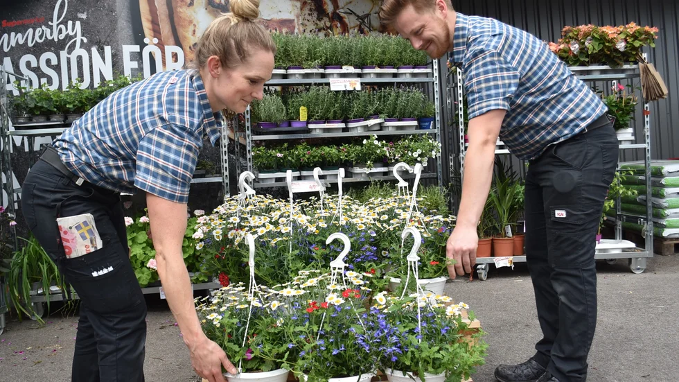 Det är inte bara mat som går åt under midsommarveckan. Blommor för dekoration och kransbindning är också  storsäljare.