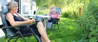 Camparnas bästa tips mot myggen • "Ovanligt mycket i år"
