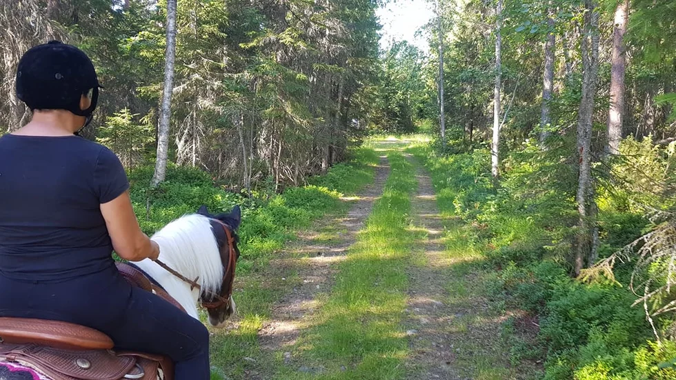Härlig ridtur!