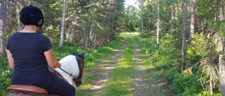 Läsarbilden: Underbart att skritta fram i skogen!