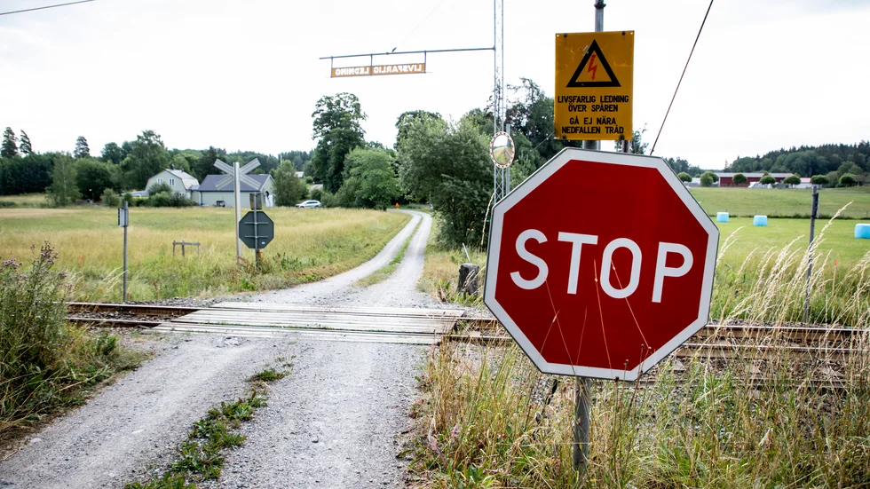 Risken för solkurvor gör att Trafikverket inför hastighetsbegränsningar på vissa tåglinjer. Arkivbild.
