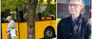 L vill utöka busskortets giltighet för ungdomar