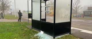 Trosaportens busskur vandaliserad – igen: "Två eller tre veckor sedan vi bytte glaset"