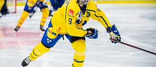 Sverige till OS – LHC-spelarna bakom segern