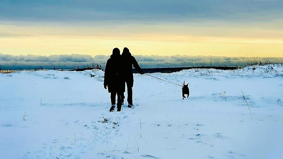 Promenad en lördag med Lisa på vackra Gläntan, just när snön lagt sig...