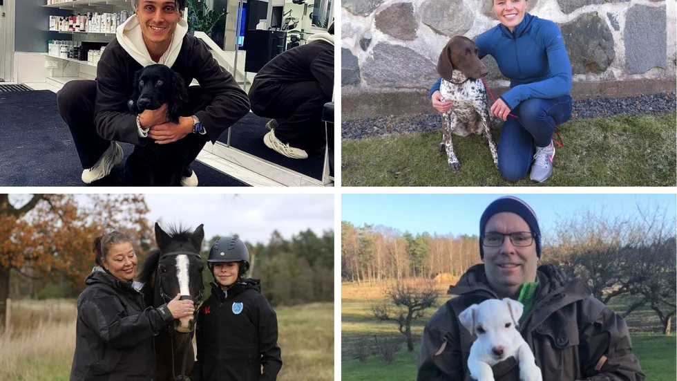Några av lokalkändisarna som har husdjur. "Husdjur blir som en del av familjen", säger landshövdingen Carl Fredrik Graf.