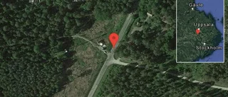 Fallna träd skapar problem i trafiken på väg 555