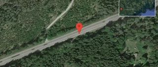 Fallna träd skapar problem i trafiken på väg 800