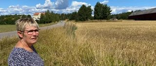 Är idrottsplatser viktigare än åkermark?